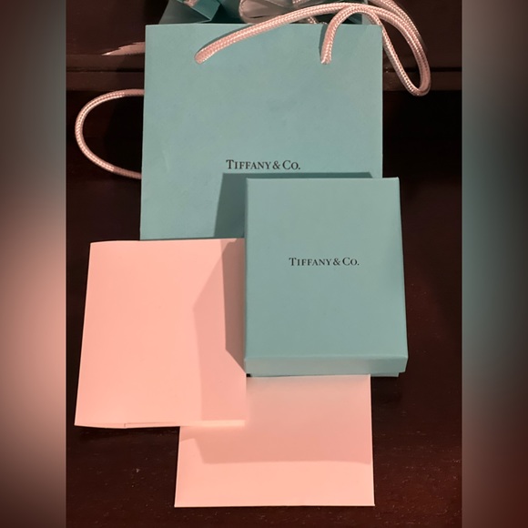 Tiffany & Co. Bag and Box - Picture 5 of 5